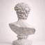 David Bust