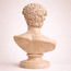 David Bust