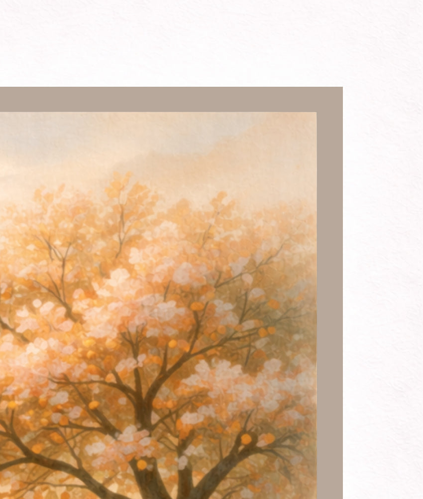 Under Apricot Tree