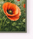 Scarlet Poppy Garden