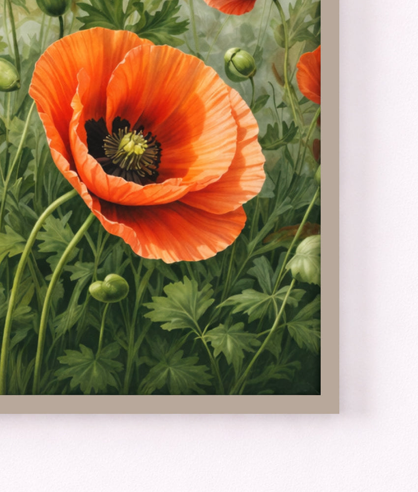Scarlet Poppy Garden